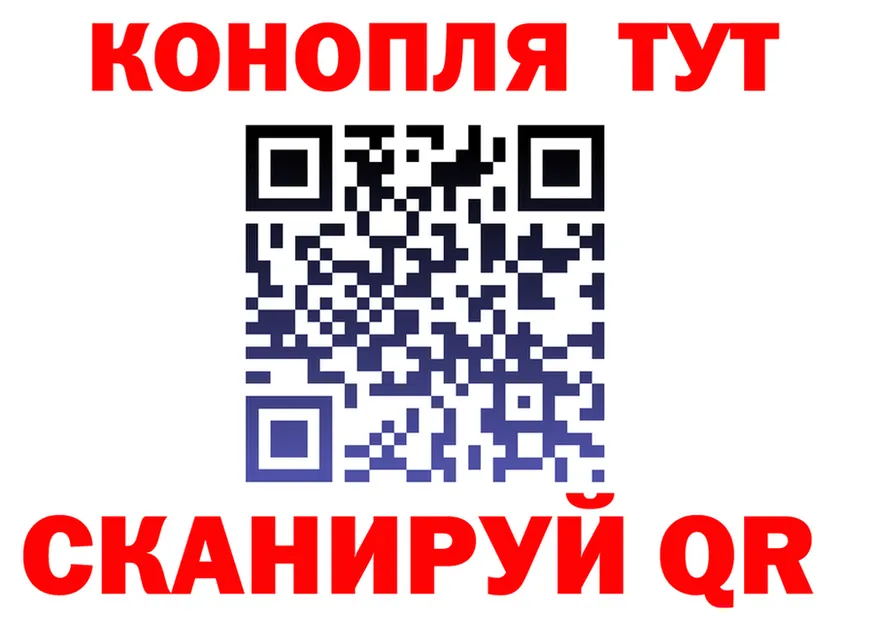 АМФ Розовый ТОР это hydra Кедровый
