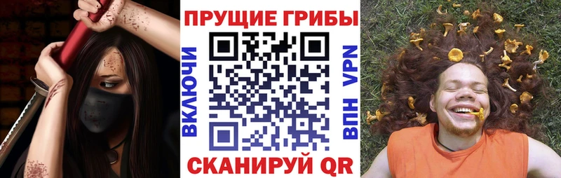 Галлюциногенные грибы GOLDEN TEACHER  мега ССЫЛКА  Кедровый 